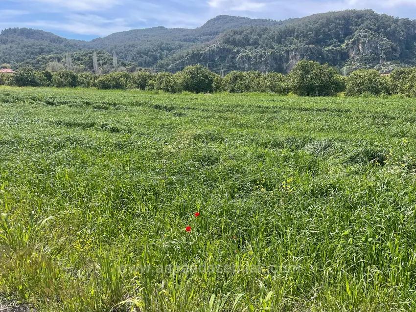 В Окчуларе 736M2 Общая Площадь 250M2 Строительная Разрешение Имеется Продается Земельный Участок