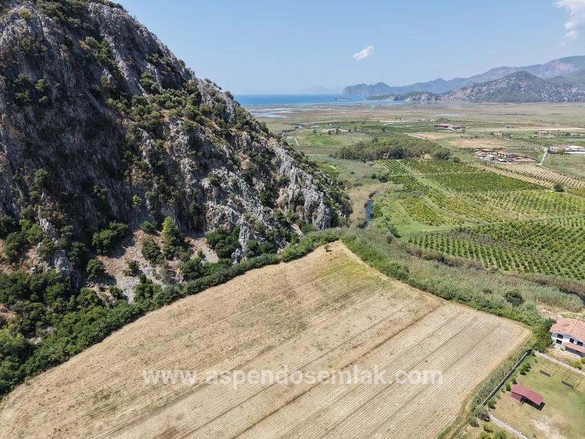 Для продажи Поле в Dalyan Ortaca - Под Поле застройку - 20.786 m²