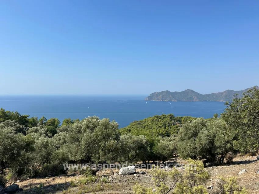 Для продажи Поле в Çandır Köyceğiz - Под Поле застройку - 21.000 m²