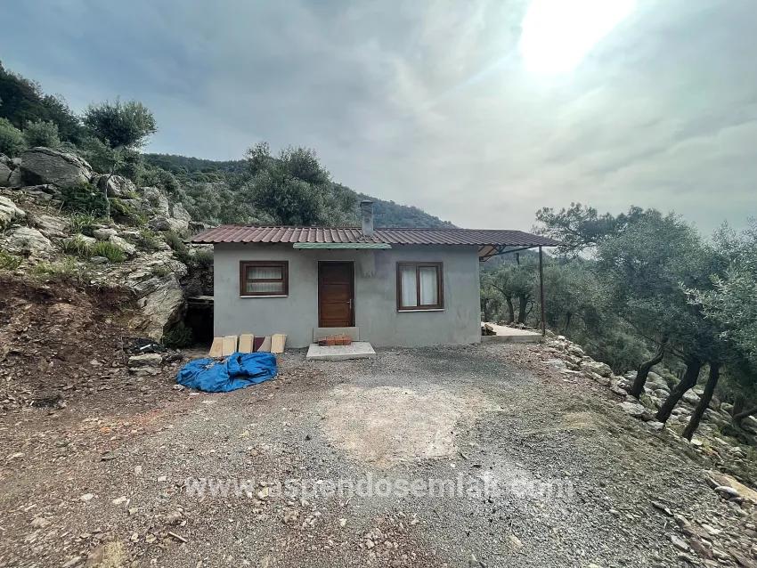 Для продажи Поле в Ekincik Köyceğiz - Под Оливковая роща застройку - 7.000 m²