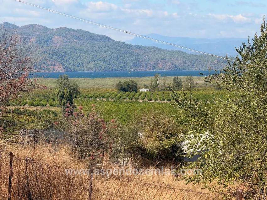 Для продажи Поле в Dalyan Ortaca - Под Поле застройку - 5.000 m²