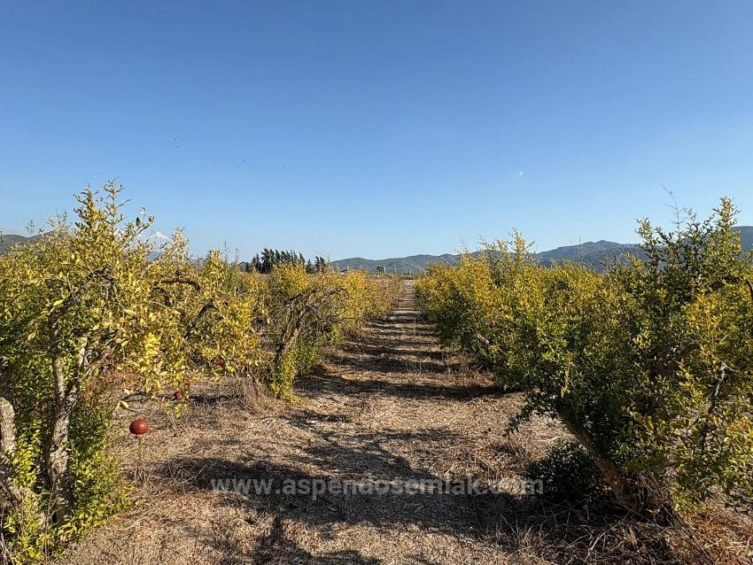 Земельный Участок И Дом Площадью 19 663 М² В Эскикёе.