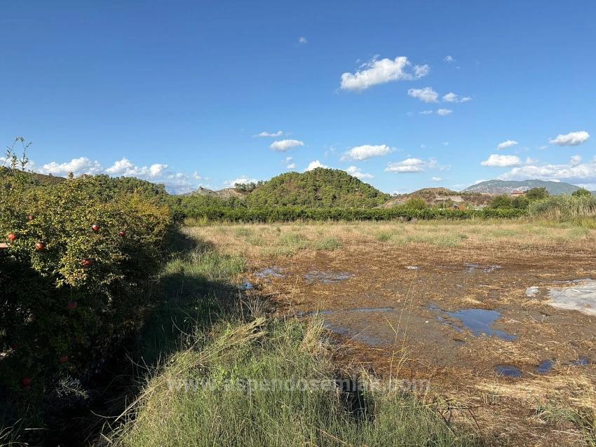 Продается Земельный Участок Площадью 3900 М2 С Разрешением На Строительство В Ортаджа Ешилюрт