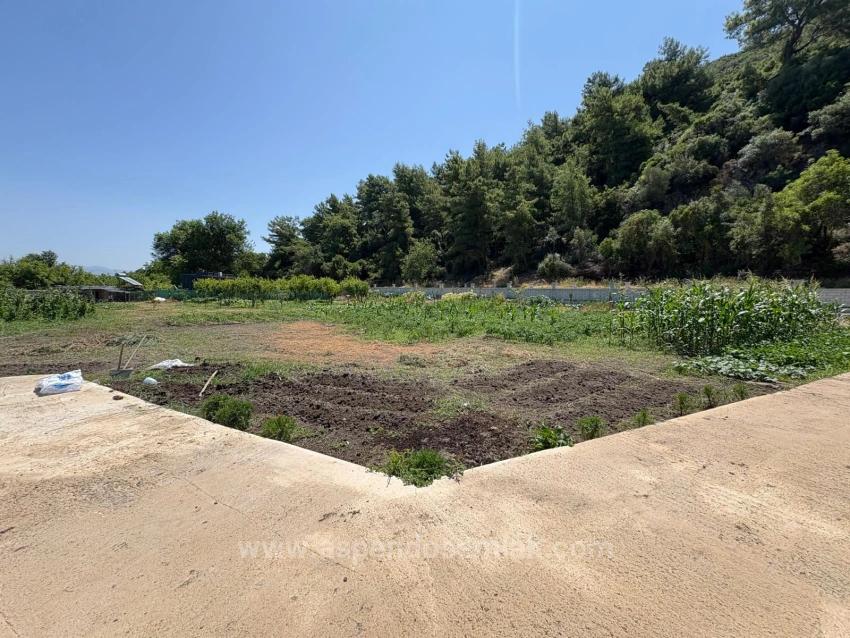 Отдельно Стоящий Деревянный Дом Площадью 120 М² На Участке Площадью 2500 М² В Районе Дальян Карадаг.