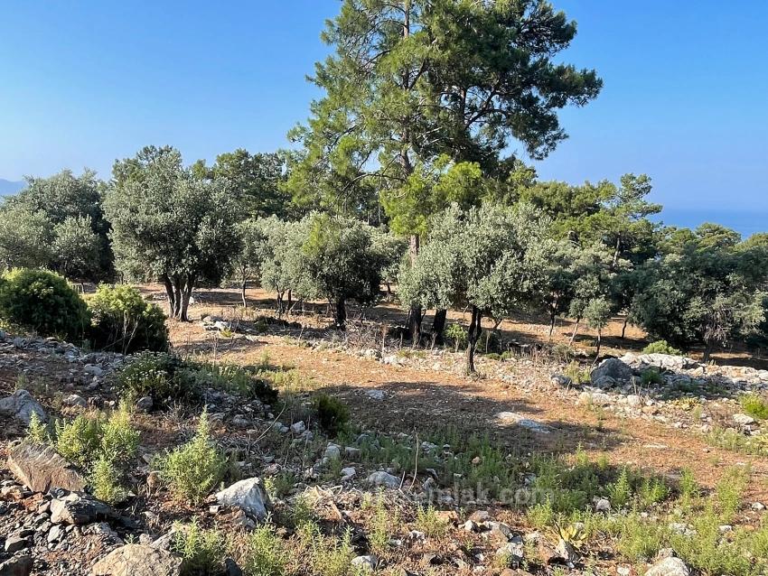 Выгодная Земля На Продажу С Видом На Море В Районе Экинджик-Чандыр.