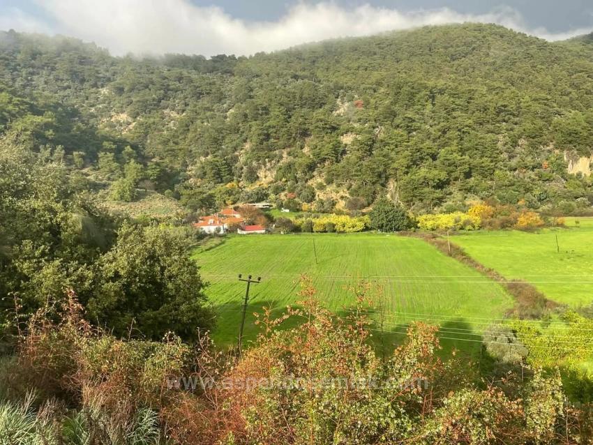 Для Продажи Земля в Çandır Köyceğiz - Под Поле застройку - 35.000 m²