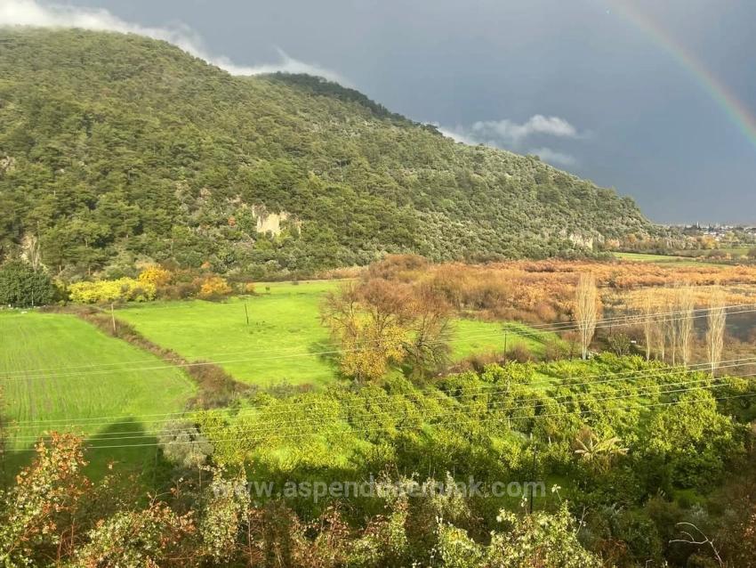 Продается Сельскохозяйственная Земля Площадью 35 000 М² В Чандыре, Кёйджегиз.