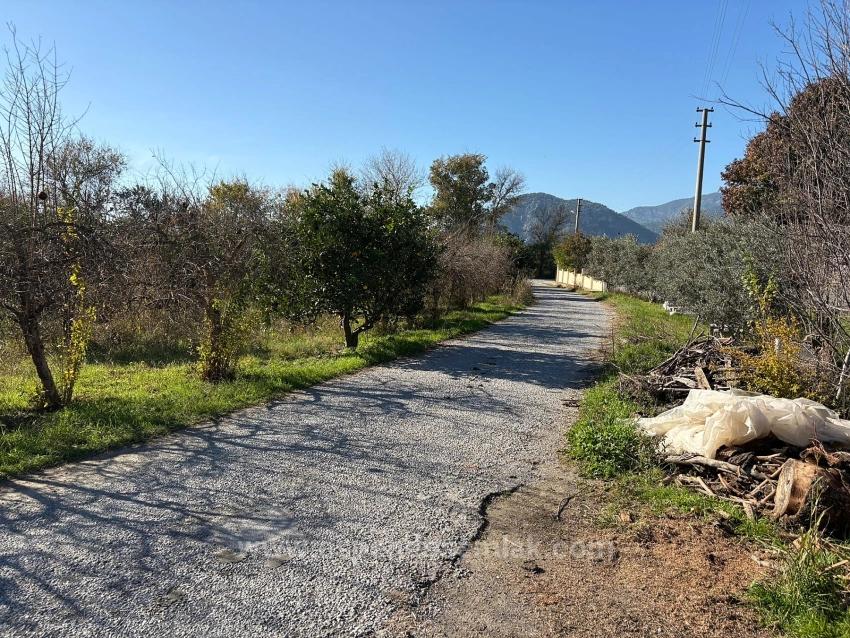 Продается Сад Площадью 4541 М² В Дальяне.