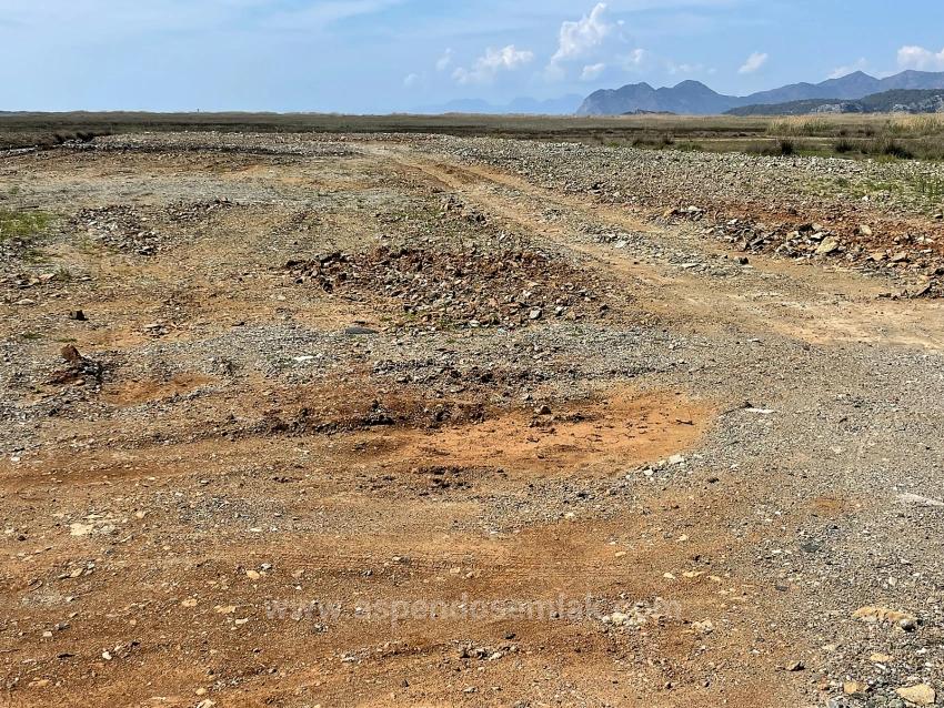 Продается Земельный Участок Площадью 19 600 М², Расположенный Непосредственно На Дороге К Пляжу Далян-Истузу.