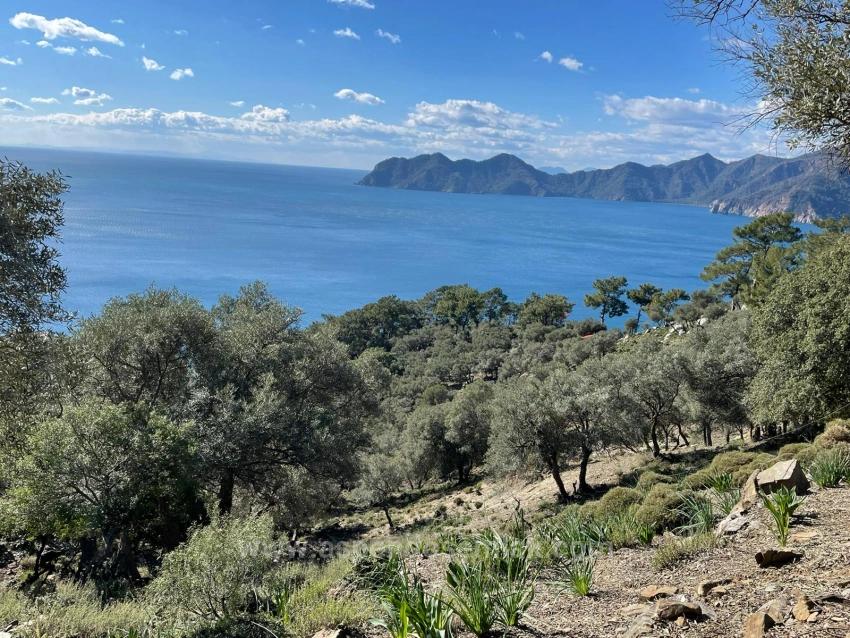 Чандыр 20.000M2 2B С Полным Видом На Море На Продажу