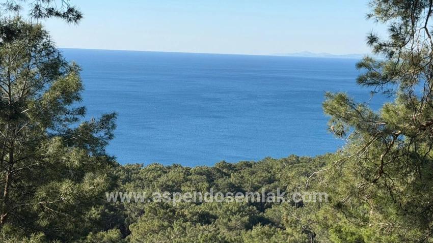 Для продажи Поле в Çandır Köyceğiz - Под Жилье застройку - 5.715 m²