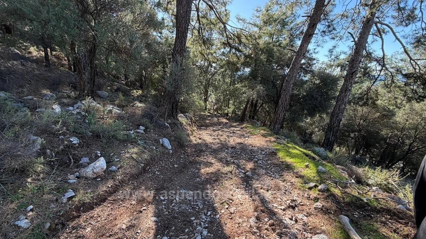 Для продажи Поле в Çandır Köyceğiz - Под Жилье застройку - 5.715 m²