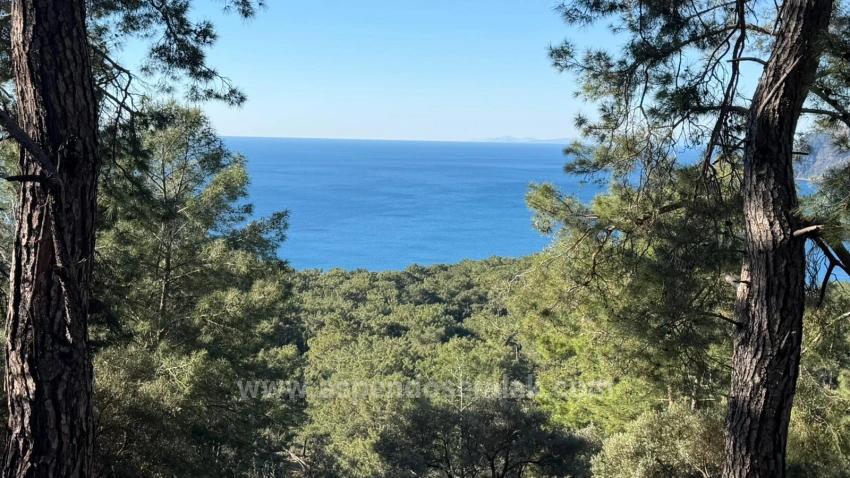 Поле 2B Площадью 5715 М2 С Панорамным Видом На Море В Чандыре