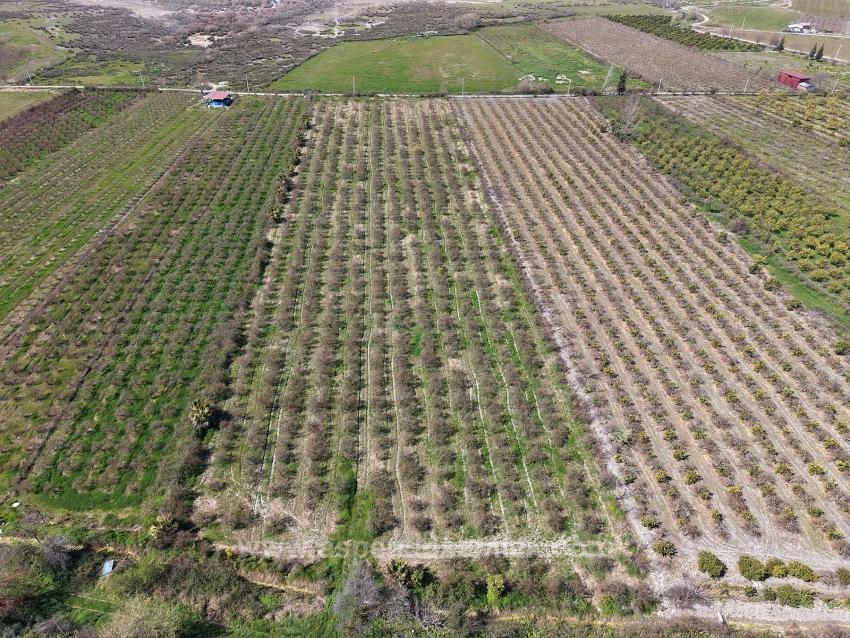 Гранатовый Сад Площадью 16.710 М2 На Продажу С Видом На Озеро В Эскикёй