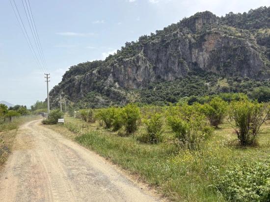 Продается Земельный Участок Площадью 2100 М2 В Окчуларе, Мармарис.