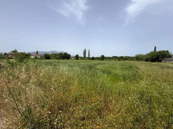 Земля 2390m2 На Продажу В Окчулар, Мармарис