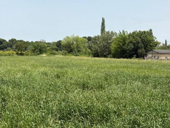 Земля 2390m2 На Продажу В Окчулар, Мармарис