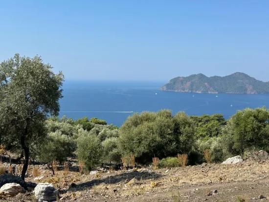 В Çandır с видом на море 21.000 m2 продаётся 2b поле