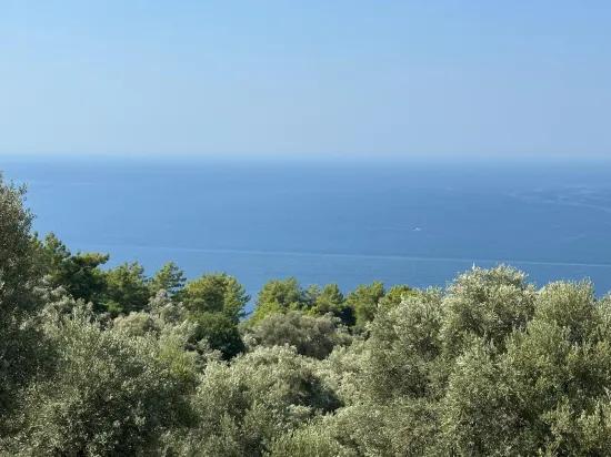 В Çandır с видом на море 21.000 m2 продаётся 2b поле