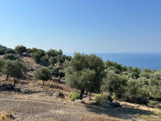 В Çandır с видом на море 21.000 m2 продаётся 2b поле
