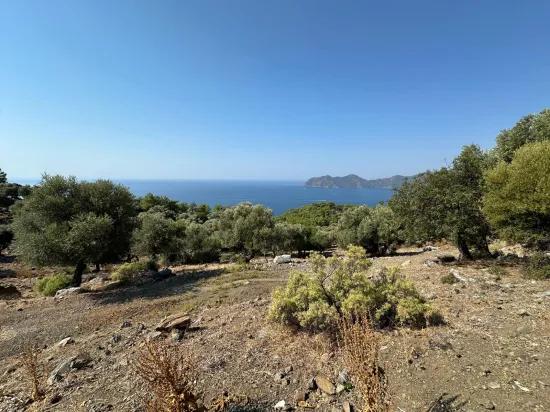 В Çandır с видом на море 21.000 m2 продаётся 2b поле