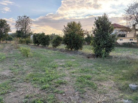 В Дальяне Продается Земельный Участок Площадью 7450 М² С Зонированием 5%.
