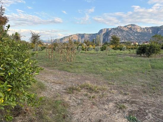 В Дальяне Продается Земельный Участок Площадью 7450 М² С Зонированием 5%.