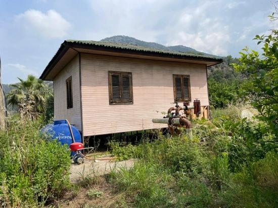 Земля 7800M2 На Продажу В Гёкбеле, Рядом С Дорогой Изтузу Бич Роуд