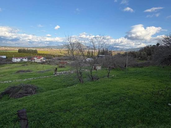 В Дальяне Продается Земельный Участок Площадью 11 230 М² С Видом На Озеро.