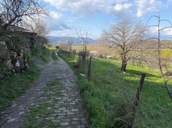 В Дальяне Продается Земельный Участок Площадью 11 230 М² С Видом На Озеро.