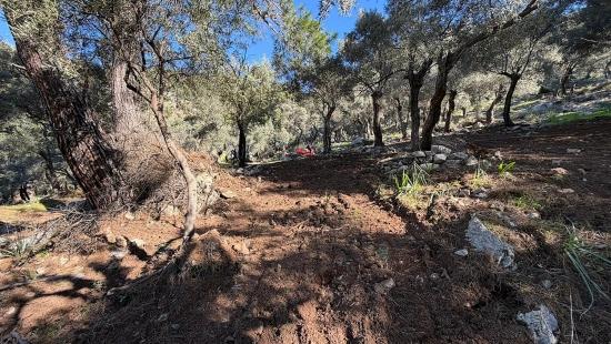 Поле 2B Площадью 5715 М2 С Панорамным Видом На Море В Чандыре