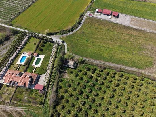 Виноградник Бахче Площадью 17.550 М2 На Продажу Недалеко От Центра Дальяна