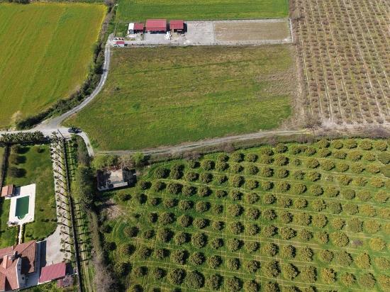Виноградник Бахче Площадью 17.550 М2 На Продажу Недалеко От Центра Дальяна