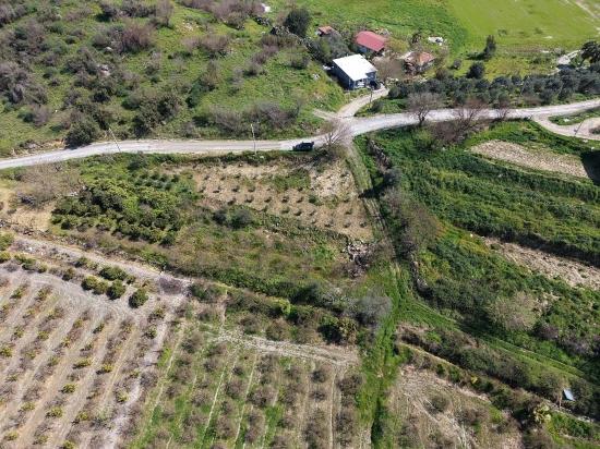 Гранатовый Сад Площадью 16.710 М2 На Продажу С Видом На Озеро В Эскикёй