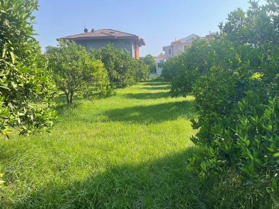 Земля 722м2 На Продажу В Дальян Гюльпынар