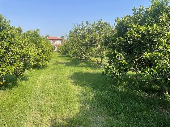 Земля 722м2 На Продажу В Дальян Гюльпынар