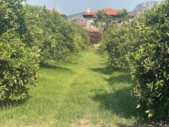 Земля 722м2 На Продажу В Дальян Гюльпынар
