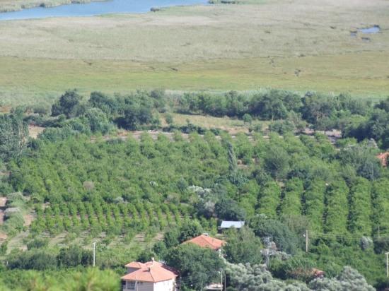 Земля 1252m2 На Продажу С Видом На Озеро В Чандыре