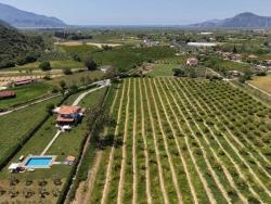 Продается Земельный Участок Площадью 5100 М2 Недалеко От Центра Города Дальян.