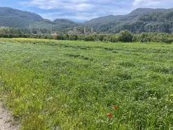 Для Продажи Сюжет в Okçular Ortaca - Под Жилье застройку - 736 m²
