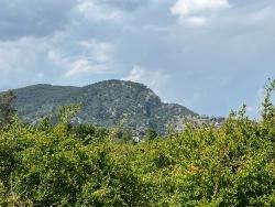 Продается Земельный Участок Площадью 5100 М² В Дальяне, Район Мараш, С Зонированием Под Жилую Застройку На 5%.