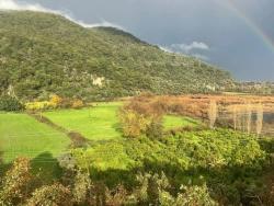 Продается Земля Площадью 35 000 М² В Чандыре, Кёйджегиз.