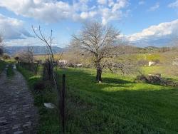 Для Продажи Поле в Dalyan Ortaca - Под Поле застройку - 11.230 m²