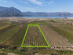 Гранатовый Сад Площадью 16.710 М2 На Продажу С Видом На Озеро В Эскикёй