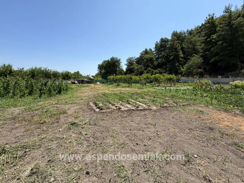 Для Продажи Семейный Дом 2+1 в Dalyan Ortaca - 2.500 m²