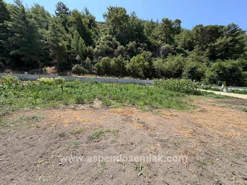 Для Продажи Семейный Дом 2+1 в Dalyan Ortaca - 2.500 m²