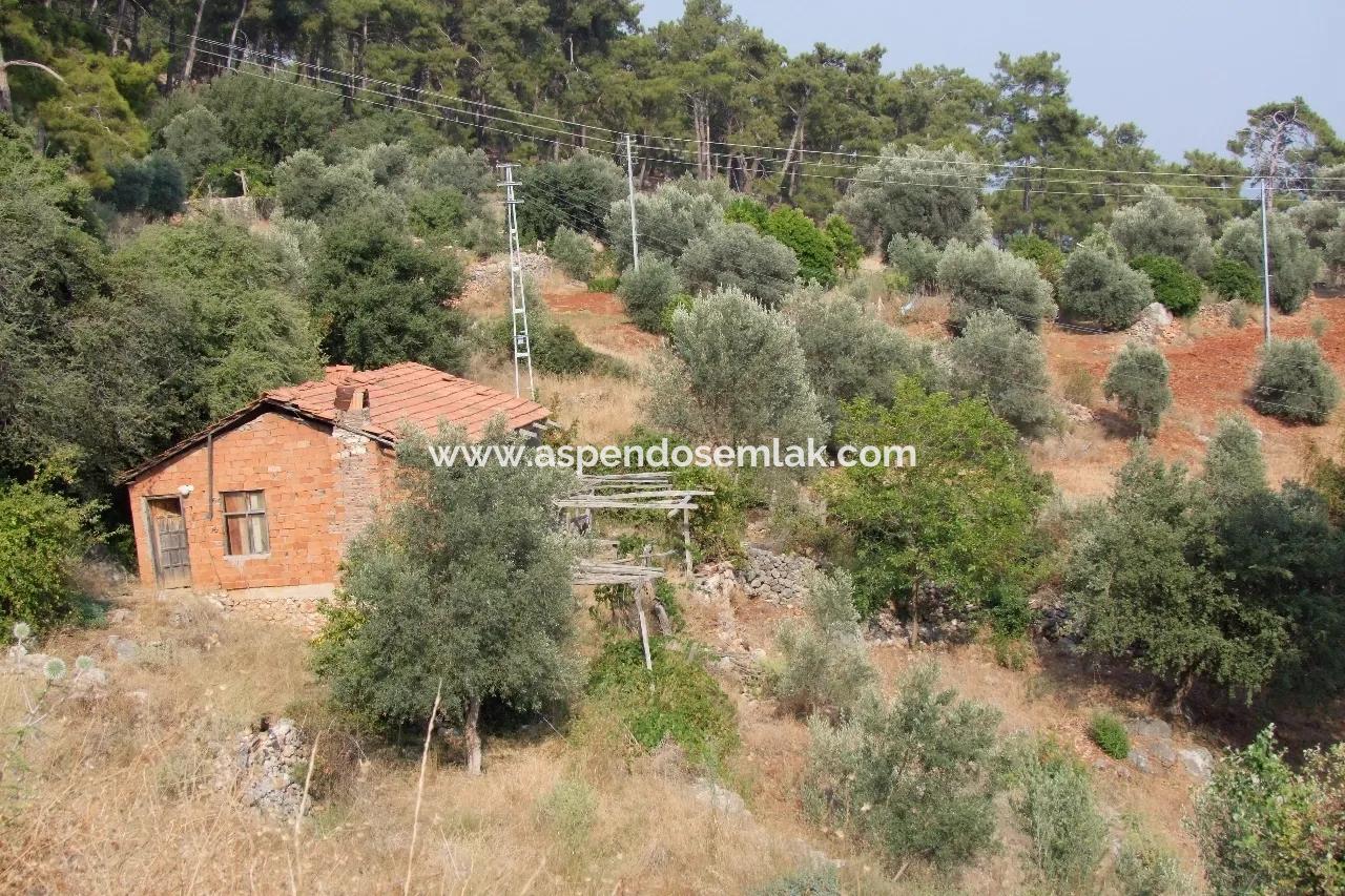 Akyaka Kandilli De Satılık Arsa 5000M2 Full Deniz Manzaralı Satılık Köy