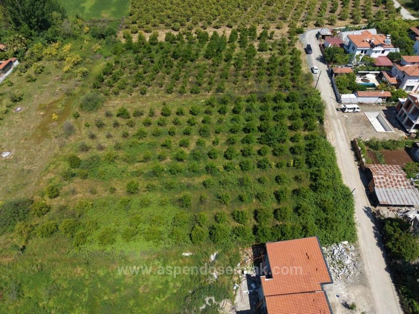 Okçular'da 1050M2 Köy Yerleşik Alanında Satılık Arsa