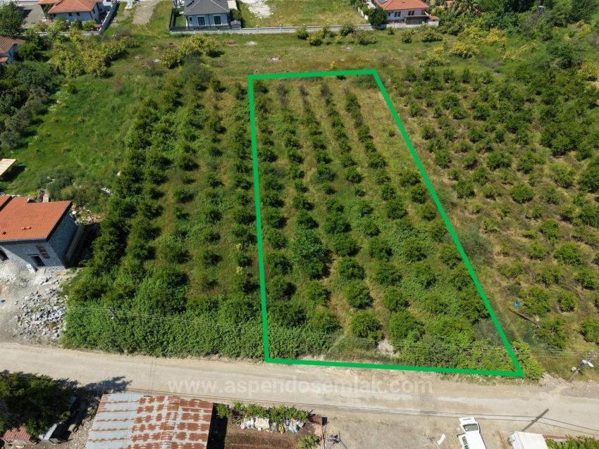 Okçular'da 1050M2 Köy Yerleşik Alanında Satılık Arsa