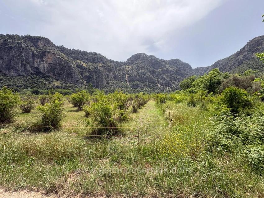 Okçular Marmarlı'da 2100 M2 Satılık Arsa